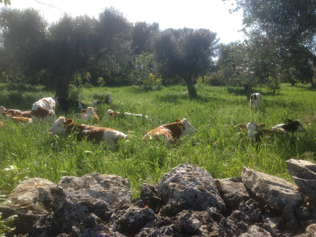 B&B Masseria Nuove Caselle Villa Castelli Exterior foto